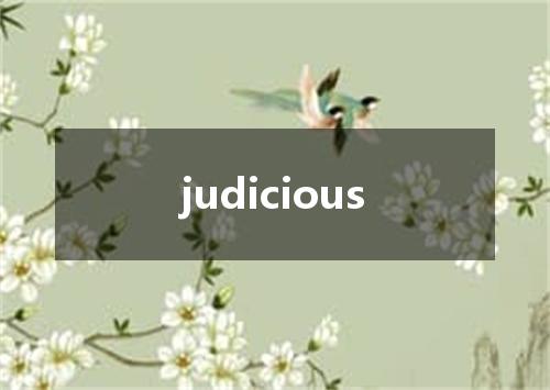 judicious是什么意思