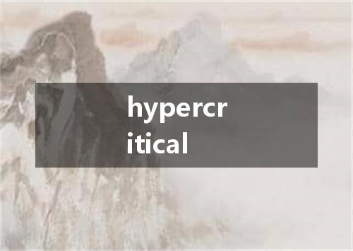 hypercritical是什么意思