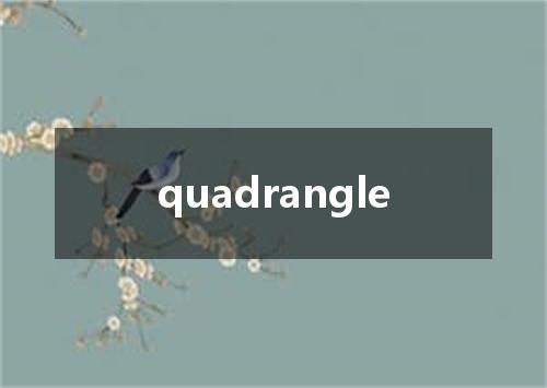 quadrangle是什么意思