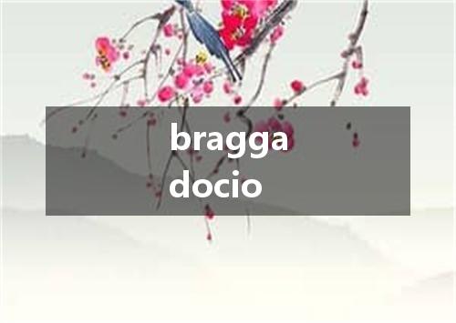 braggadocio是什么意思