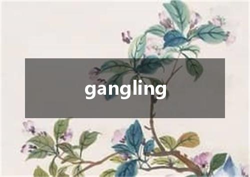 gangling是什么意思