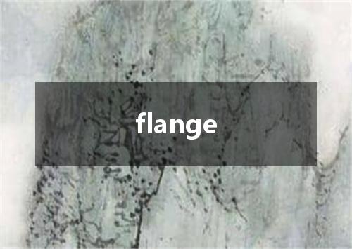 flange是什么意思