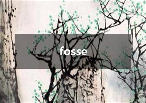 fosse是什么意思