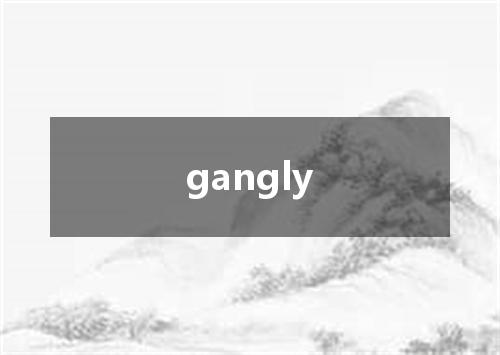 gangly是什么意思