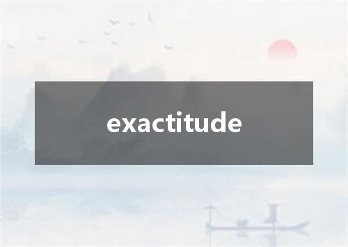 exactitude是什么意思