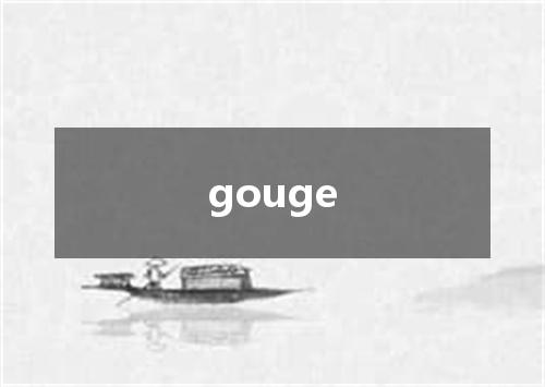 gouge是什么意思