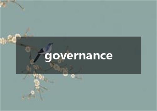 governance是什么意思