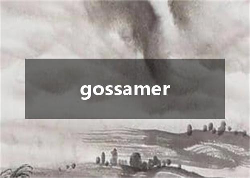 gossamer是什么意思