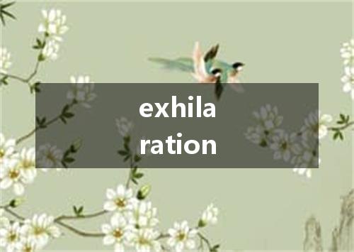 exhilaration是什么意思