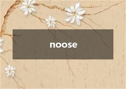 noose是什么意思
