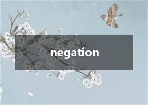 negation是什么意思