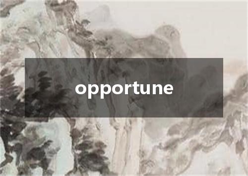 opportune是什么意思