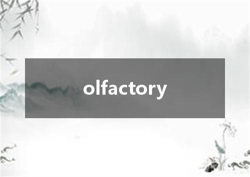 olfactory是什么意思