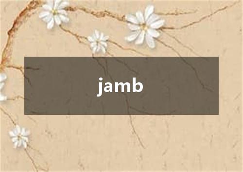 jamb是什么意思