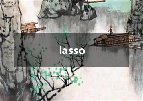 lasso是什么意思