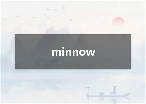 minnow是什么意思