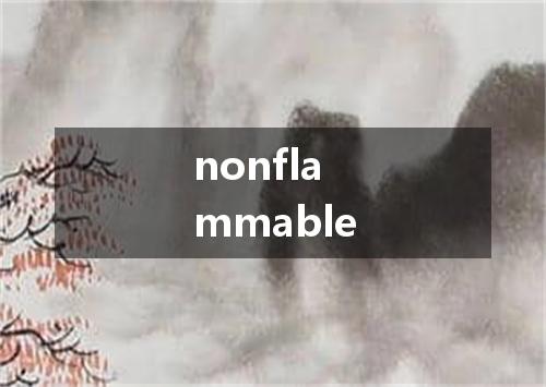 nonflammable是什么意思