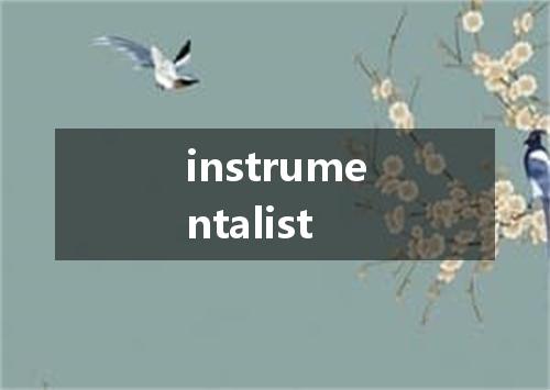 instrumentalist是什么意思