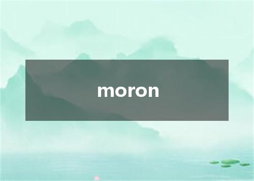 moron是什么意思