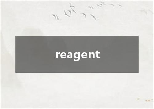 reagent是什么意思