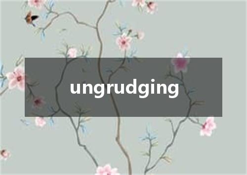 ungrudging是什么意思