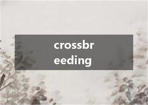 crossbreeding是什么意思