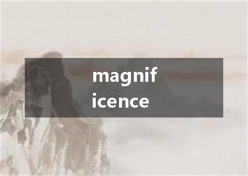 magnificence是什么意思