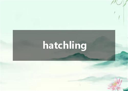 hatchling是什么意思