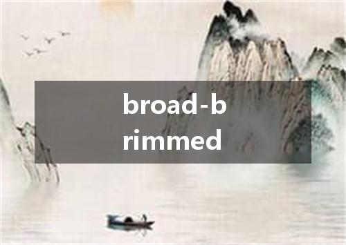 broad-brimmed是什么意思