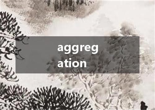 aggregation是什么意思