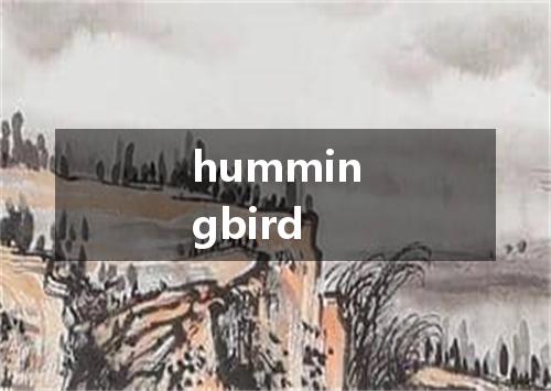 hummingbird是什么意思