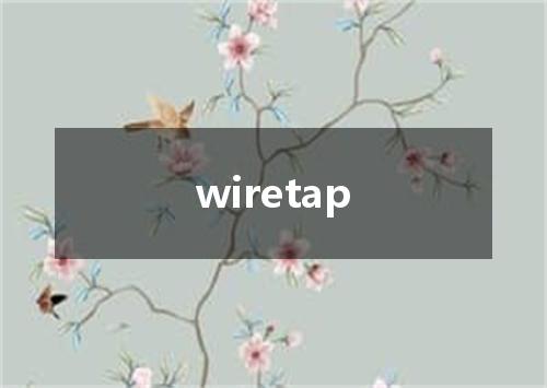 wiretap是什么意思
