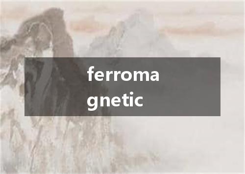 ferromagnetic是什么意思