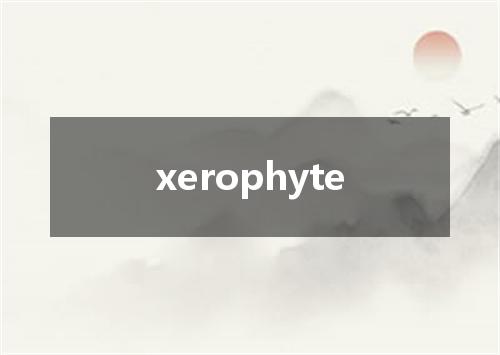 xerophyte是什么意思