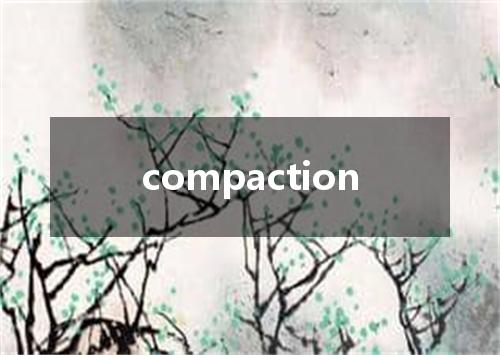 compaction是什么意思