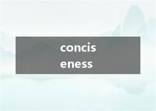 conciseness是什么意思