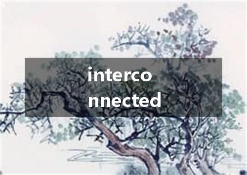 interconnected是什么意思