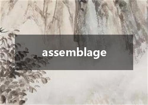 assemblage是什么意思