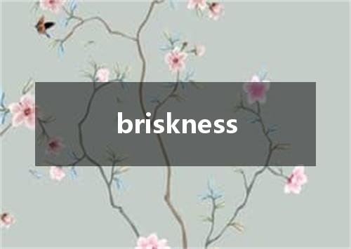 briskness是什么意思