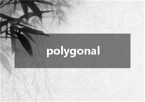 polygonal是什么意思