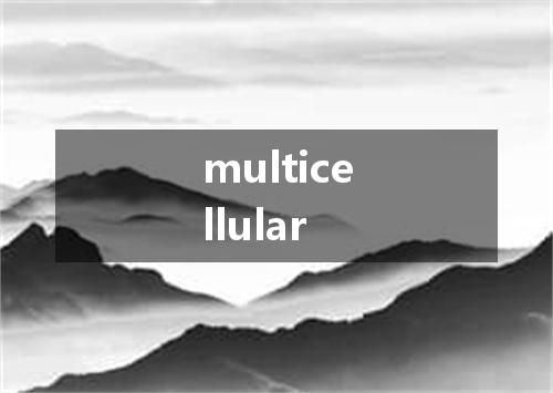 multicellular是什么意思
