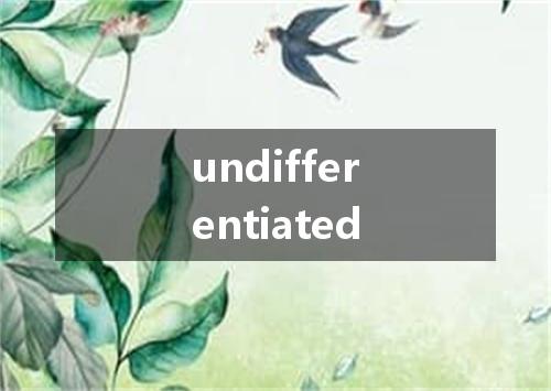 undifferentiated是什么意思
