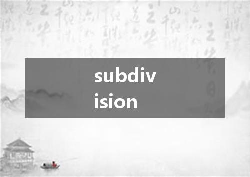 subdivision是什么意思
