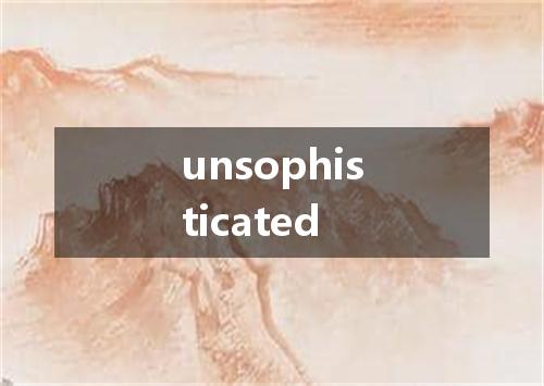 unsophisticated是什么意思