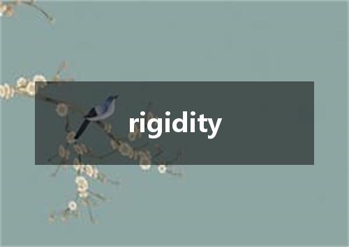 rigidity是什么意思