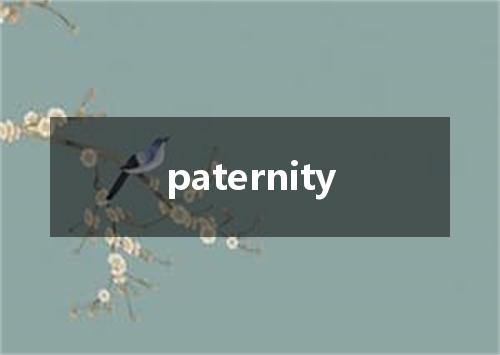 paternity是什么意思