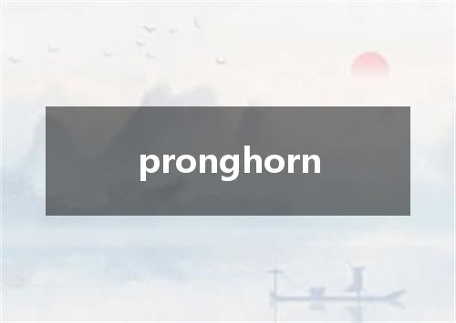 pronghorn是什么意思