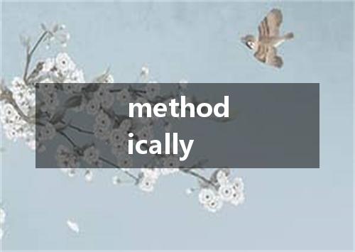 methodically是什么意思