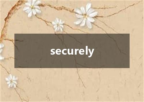 securely是什么意思