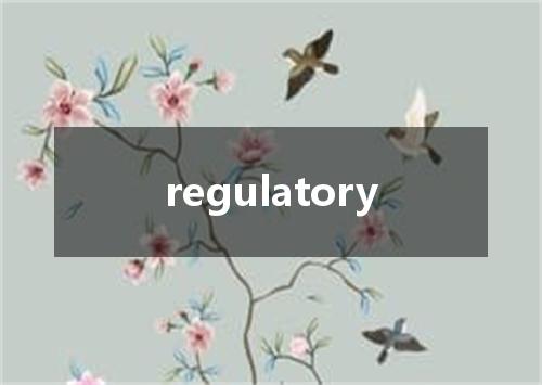regulatory是什么意思